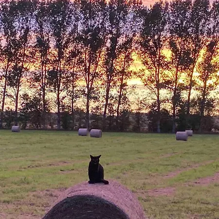 Ferienwohnung Kompass Nahe Der Ostsee Im Gruenen Bad Doberan Exterior photo