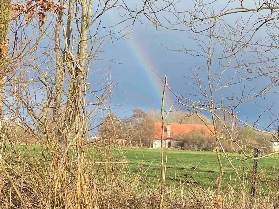 Kompass Nahe Der Ostsee Im Gruenen Appartement Bad Doberan